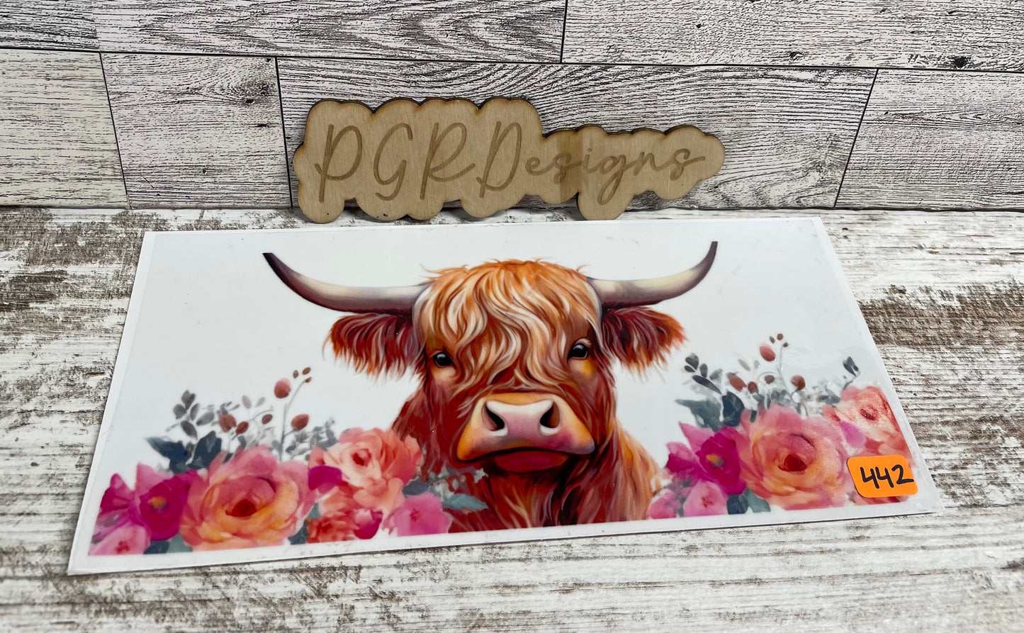 Cows/western part 1