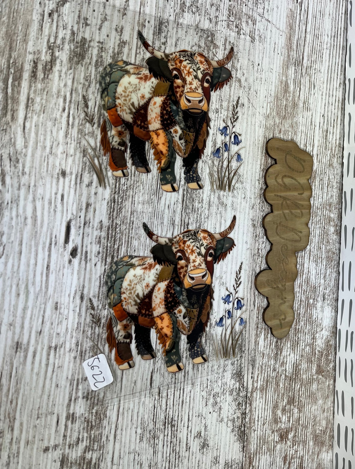 Cows/western part 4