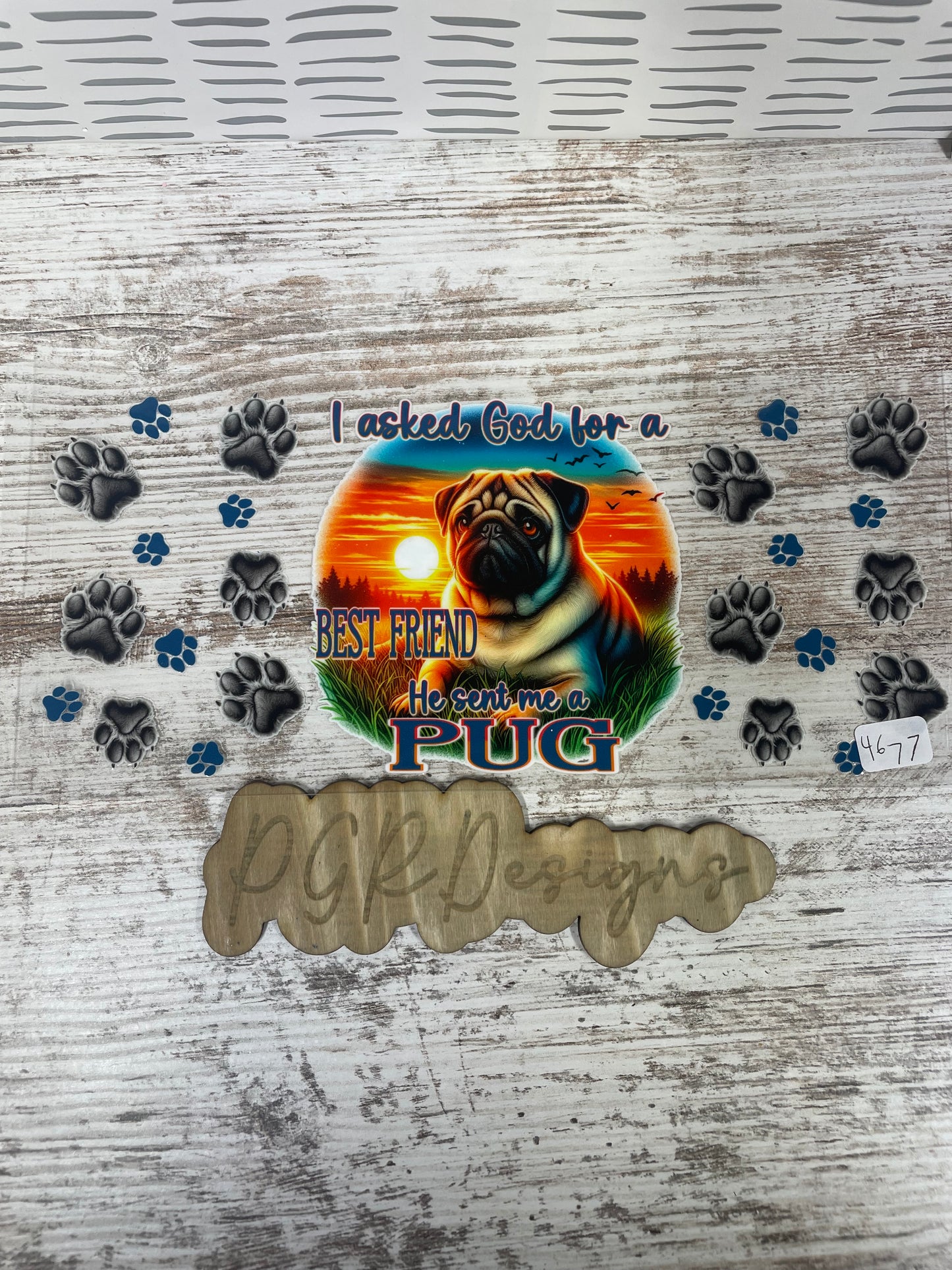 Animals 2
